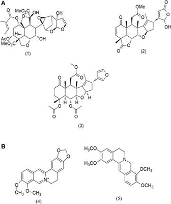 Evaluation of Apoptosis and Autophagy Inducing Potential of Berberis aristata, Azadirachta indica, and Their Synergistic Combinations in Parental and Resistant Human Osteosarcoma Cells